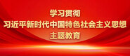 啊嗯啊轻点ziluoli学习贯彻习近平新时代中国特色社会主义思想主题教育_fororder_ad-371X160(2)